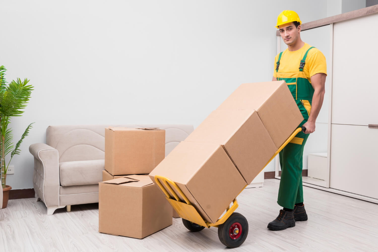 mover delivering boxes during house move