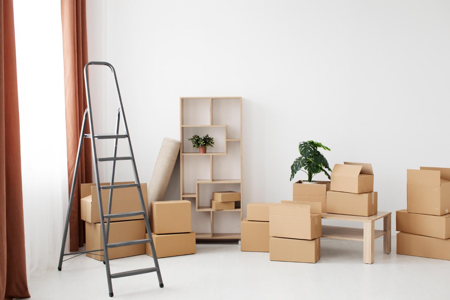 front view of a room full of moving boxes and plants