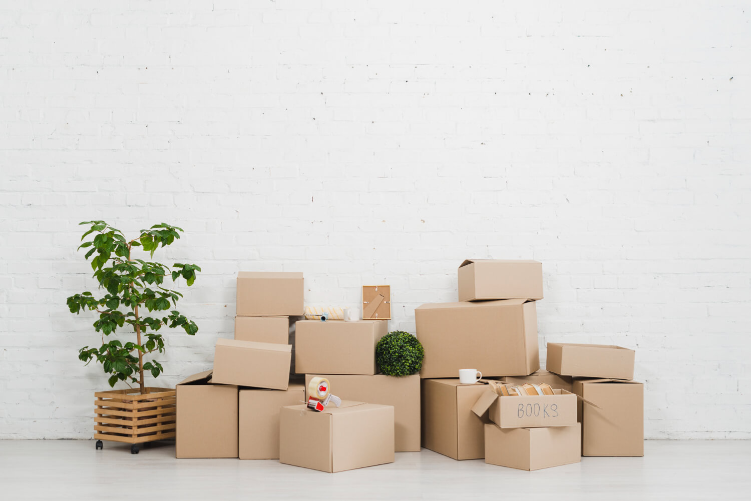 front view of white wall with moving boxes and plants in empty apartment