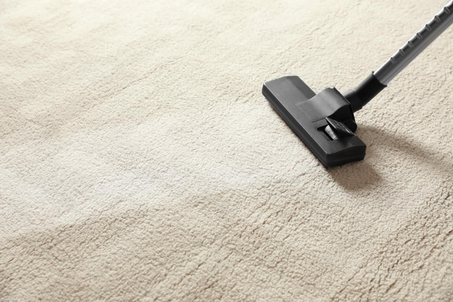 professional vacuum cleaner close up removing dirt from white rug
