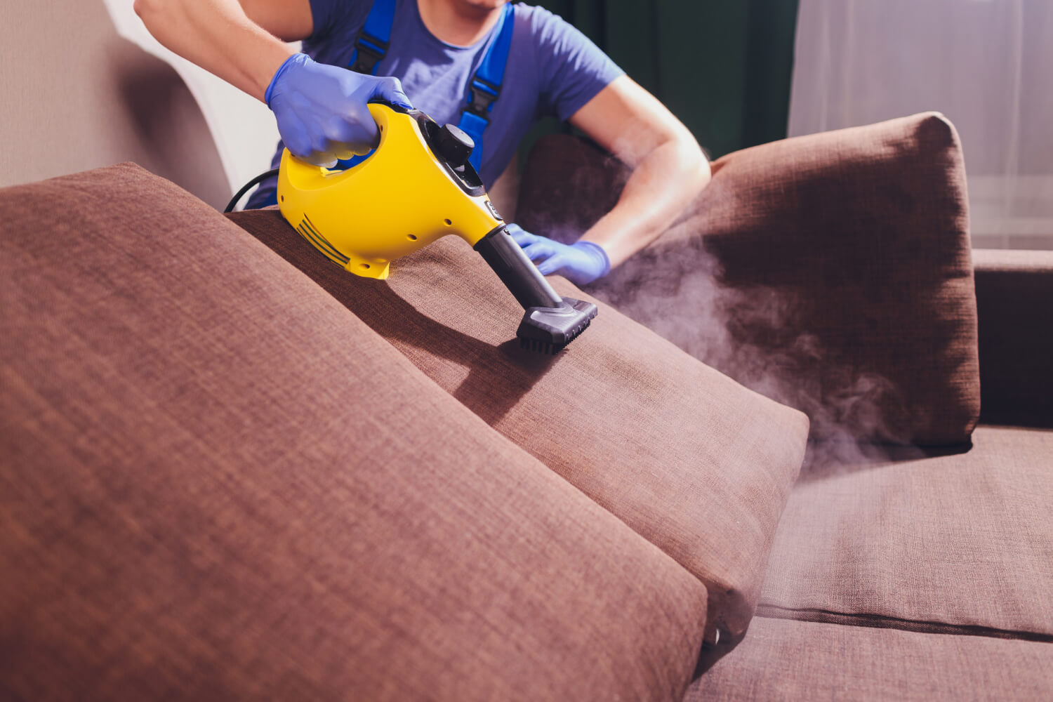 cropped male cleaners dry cleans sofa with professional cleaner