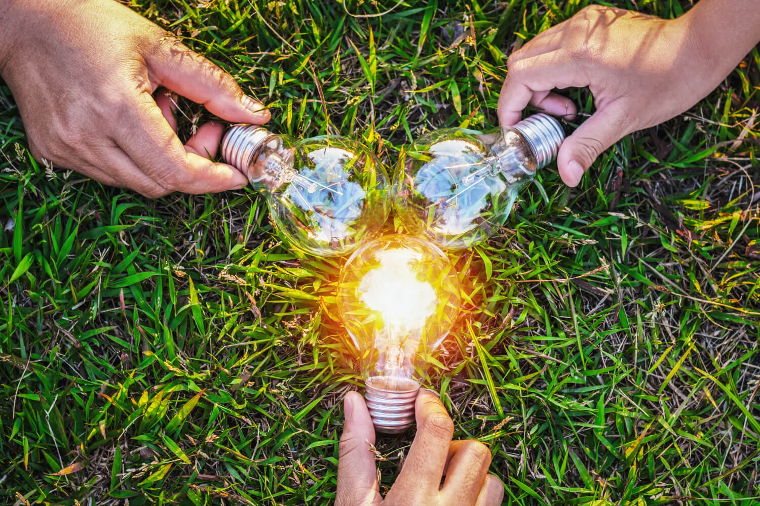 group of hands close up holding three bulbs with one bulb turned on