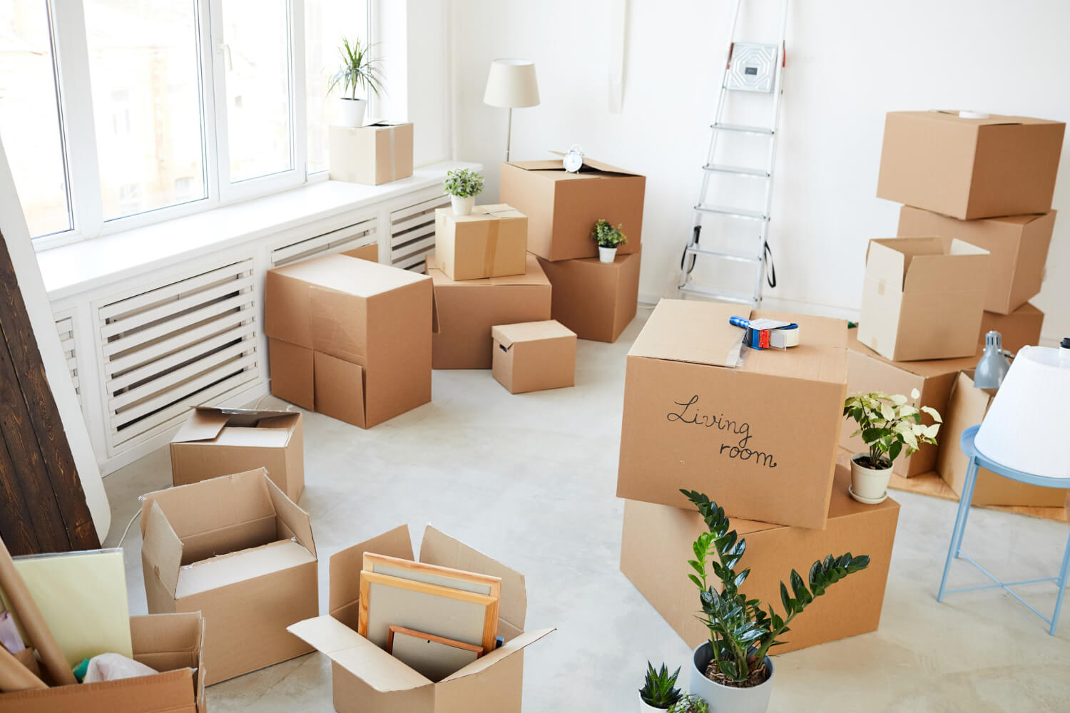 stacked moving boxes, plants and other home belongings in empty living room at new home