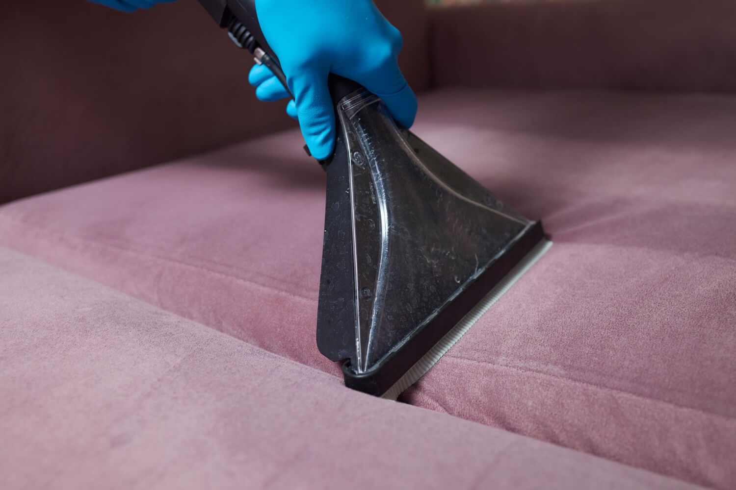 close up cleaners hands in blue protective gloves cleaning pink velvet sofa with professionally extraction method
