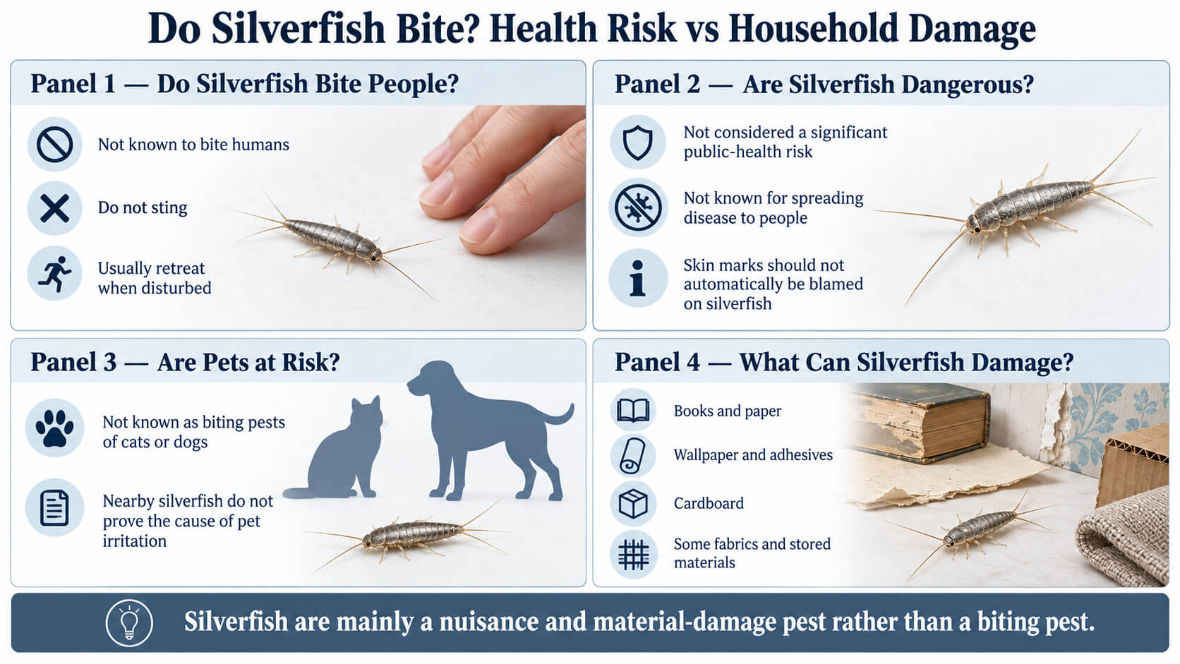 Infographic explaining whether silverfish bite, health risks, pets and household material damage