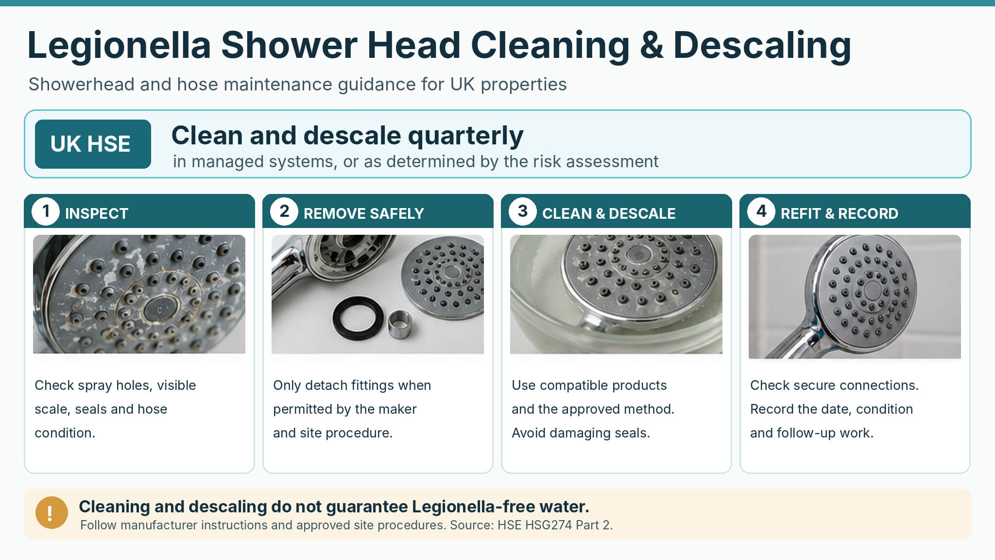 Legionella shower head cleaning and descaling infographic showing four maintenance steps: inspect, remove safely, clean and descale, then refit and record.